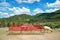 The sheep farm in the fruit orchard with red long chair and beautiful blue sky and cloud among mountain