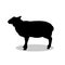 Sheep farm mammal black silhouette animal