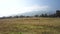 Sheep farm next to the cloudy mountain