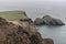 Sheep in a farm over cliffs and high bridge