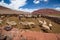 Sheep farmer in the Argentina Desert