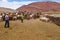 Sheep farmer in the Argentina Desert