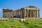 Sheep feeding in front of Temple E, Selinunte.