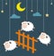 Sheep and Fence hanging on the ropes with night scene