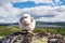 Sheep figure/toy standing on mountain rock outdoors in the wilderness.