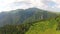 Sheep flock in Ciucas Mountains, Romania