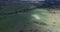 Sheep flock on green alpine pasture aerial timelapse