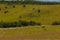 Sheep flock mountain summer landscape.