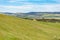 Sheep flock picturesque rural landscape