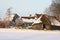 Sheep fold in snowy Dutch Eempolder, Soest, Netherlands