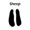 Sheep Footprint