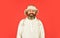 Sheep fur. Bearded funny hipster. Perfect accessory. Bearded man wear hat with ear flaps red background. Soft furry
