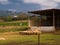 Sheep gathered in a circle in front of a barn