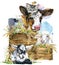 Sheep. goat. kitten. calf. chick. watercolor farms animal collection.