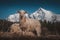 Sheep and goats on a meadow under the mountains, agrotourism, spring landscape and Easter