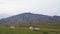 Sheep on grass in beautiful Iceland nature on snaefellsnes with volcano