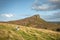 Sheep on Grassy Hillside at the Roaches