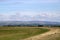 Sheep grassy sea shore, distant hills, Lancashire