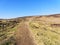 Sheep graze besides a gently sloping footpath on Derwent Moor in Derbyshire