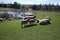 Sheep graze in green meadow, pond and spring forest in the background.