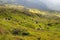 Sheep graze in the mountains. Traditional economy Highlanders