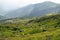 Sheep graze in the mountains. Traditional economy Highlanders