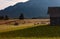 Sheep grazing on alpine pasture