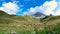 Sheep grazing in the brembana valley lombardy Italy