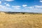 Sheep grazing in Cowra - Central New South Wales Australia