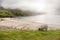 Sheep grazing grass by beautiful Keem beach, Achill island, county Mayo, Ireland. Mist over the mountains in the background