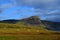 Sheep Grazing on the Grass at Neist Point in Scotland