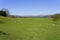 Sheep grazing in the hazy spring sunshine in Ambleside