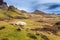 Sheep grazing in the highlands