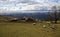 Sheep grazing on a hillock and mountain side of the beautiful Vale of Clwyd Flintshire North Wales