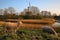 Sheep grazing on a meadow overlooking the fortified walls surrounding Veere, Zeeland