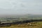 Sheep grazing in Mendip Hills, Somerset, UK