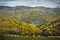 Sheep Grazing in the Mountains - Carpathian Mountains