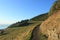 Sheep grazing outside of Nelson New Zealand