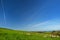 Sheep grazing on scenic Cornish fields under blue sky, Cornwall, England, UK