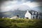 Sheep grazing on a Scottish farm in spring