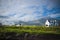 Sheep grazing on a Scottish farm in spring