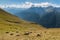 Sheep grazing on slope in Austrian Alps