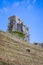 Sheep grazing on steep slope in front of ruins of Corfe Castle in Corfe, Dorset, UK