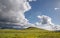 Sheep on green farmland