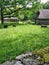 Sheep, green grass, fence and houses