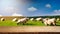 sheep on green meadow with blue sky and wooden floor.