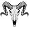 Sheep head skull illustration darkness