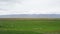 Sheep herd on grass field in beautiful Iceland nature landscape