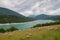 Sheep herd near the mountain lake