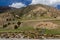 Sheep herd in Turkestan mountain Range in Tajikist